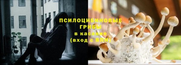 а пвп мука Алзамай