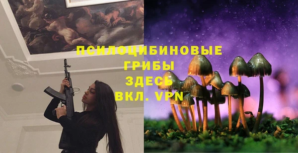 Альфа ПВП Алексин