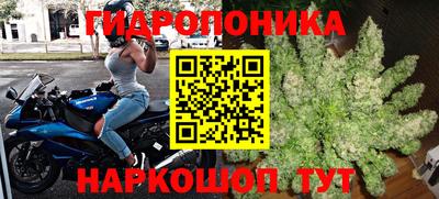 круглые Лесосибирск
