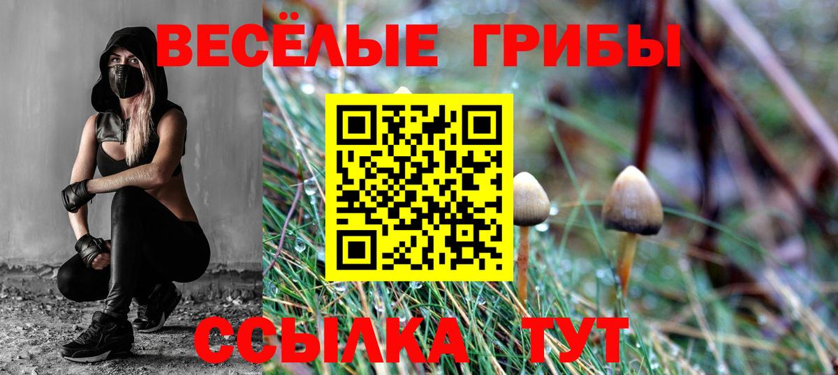 Прохладный  Галлюциногенные грибы Psilocybine cubensis  Вход с VPN 